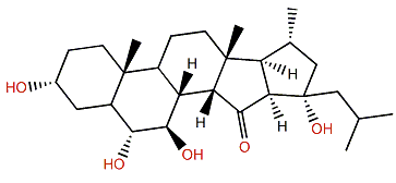 Xestobergsterol A